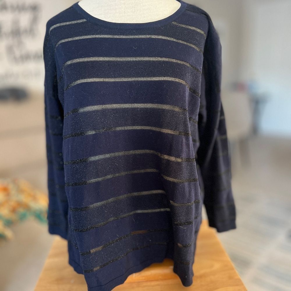 Anthropologie Bela Large Navy and Sheer Striped